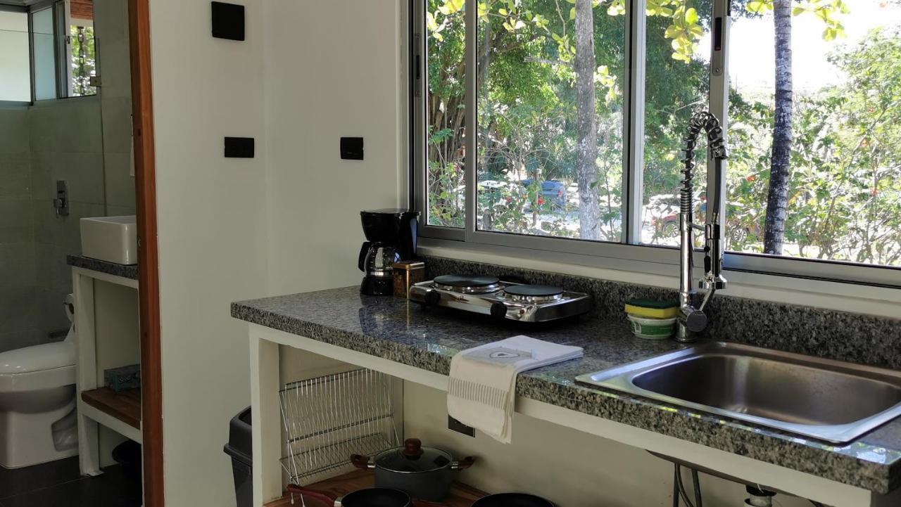 Armadillo Eco Bungalows - Santa Teresa Playa Santa Teresa  エクステリア 写真