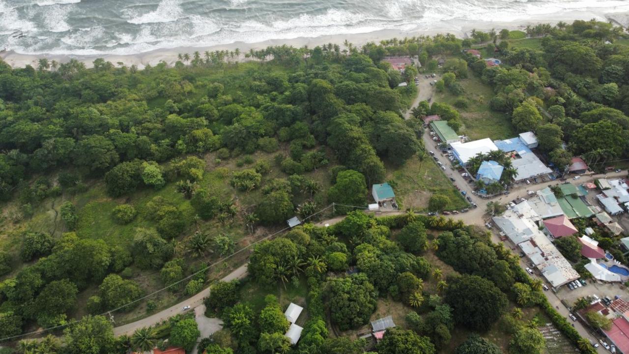 Armadillo Eco Bungalows - Santa Teresa Playa Santa Teresa  エクステリア 写真