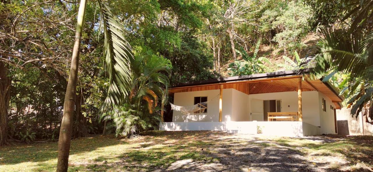 Armadillo Eco Bungalows - Santa Teresa Playa Santa Teresa  エクステリア 写真