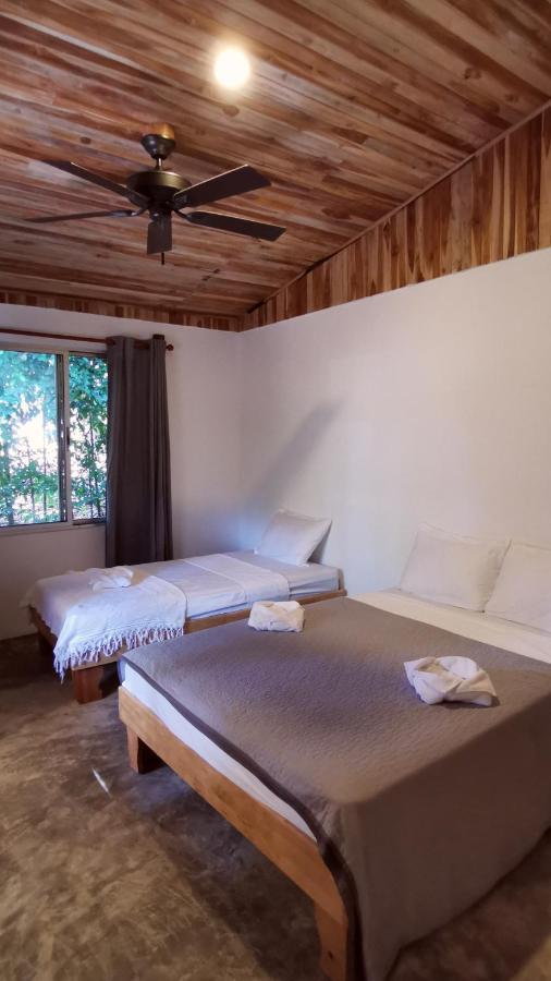 Armadillo Eco Bungalows - Santa Teresa Playa Santa Teresa  エクステリア 写真
