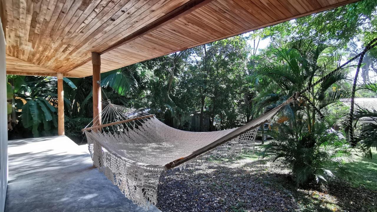 Armadillo Eco Bungalows - Santa Teresa Playa Santa Teresa  エクステリア 写真