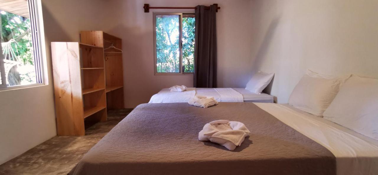 Armadillo Eco Bungalows - Santa Teresa Playa Santa Teresa  エクステリア 写真