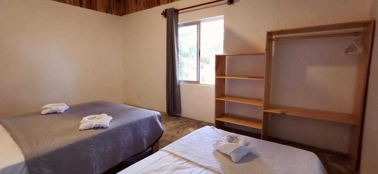 Armadillo Eco Bungalows - Santa Teresa Playa Santa Teresa  エクステリア 写真