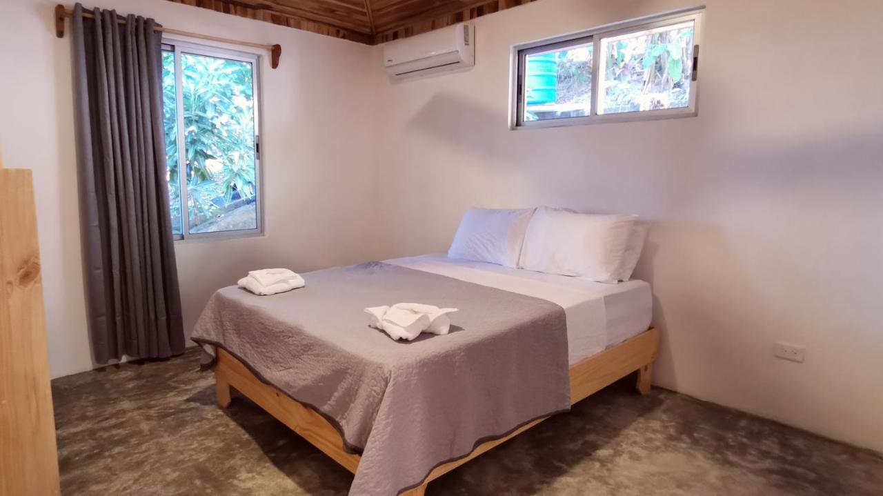 Armadillo Eco Bungalows - Santa Teresa Playa Santa Teresa  エクステリア 写真