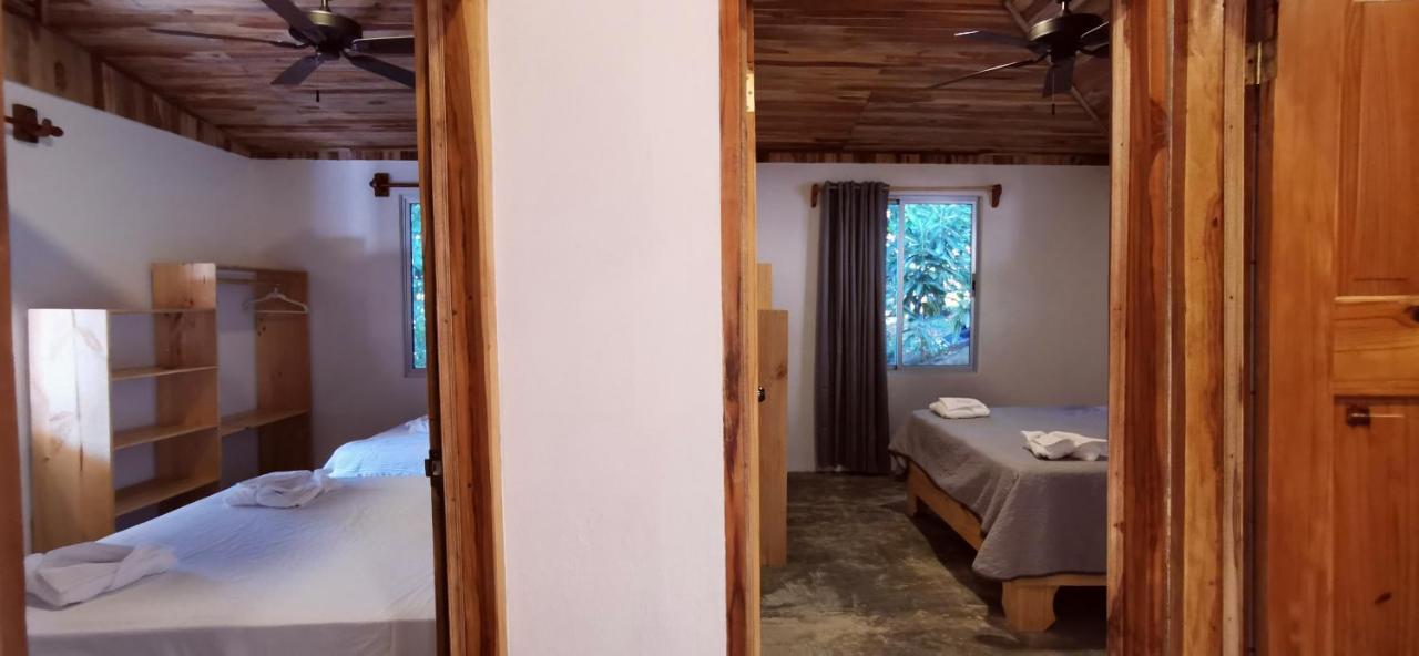 Armadillo Eco Bungalows - Santa Teresa Playa Santa Teresa  エクステリア 写真