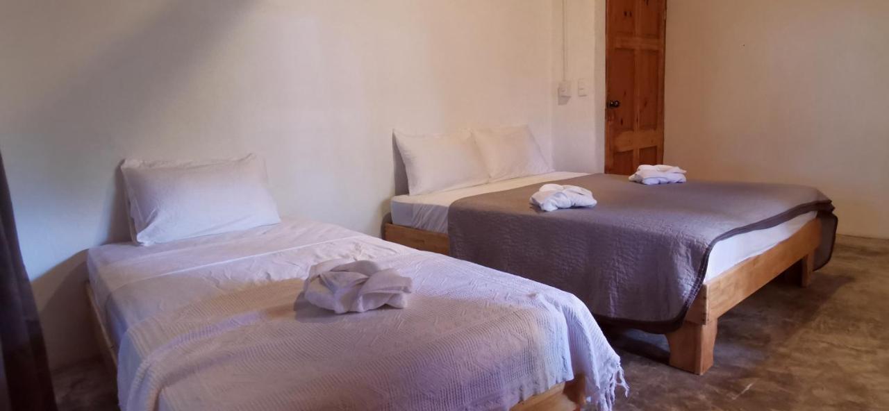 Armadillo Eco Bungalows - Santa Teresa Playa Santa Teresa  エクステリア 写真