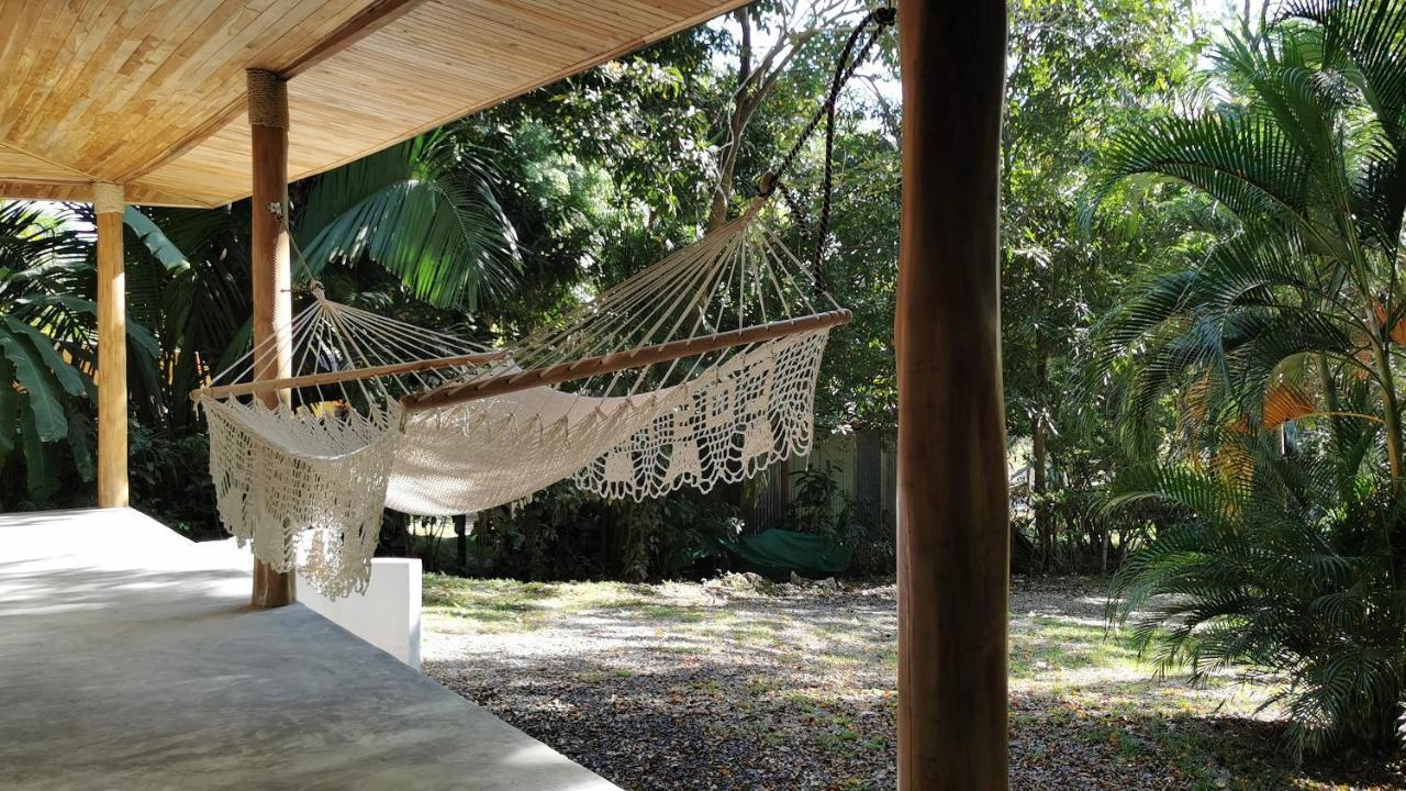 Armadillo Eco Bungalows - Santa Teresa Playa Santa Teresa  エクステリア 写真