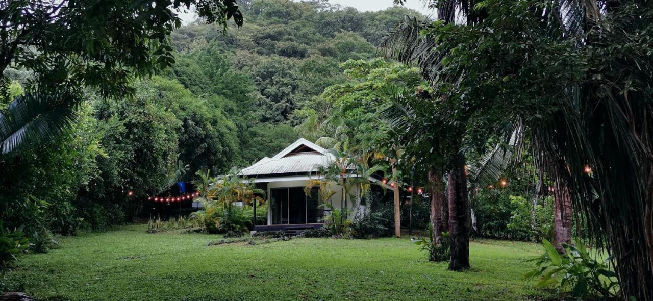 Armadillo Eco Bungalows - Santa Teresa Playa Santa Teresa  エクステリア 写真