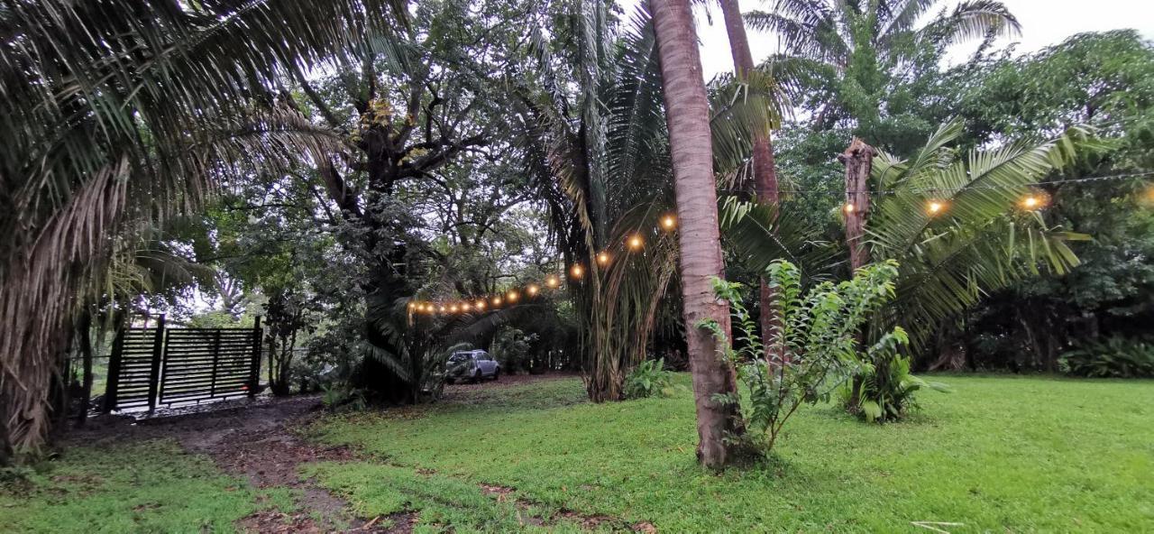 Armadillo Eco Bungalows - Santa Teresa Playa Santa Teresa  エクステリア 写真