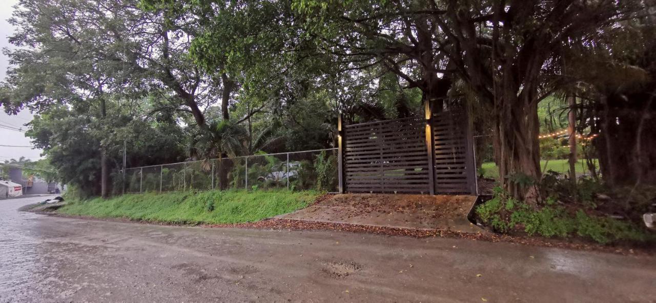 Armadillo Eco Bungalows - Santa Teresa Playa Santa Teresa  エクステリア 写真