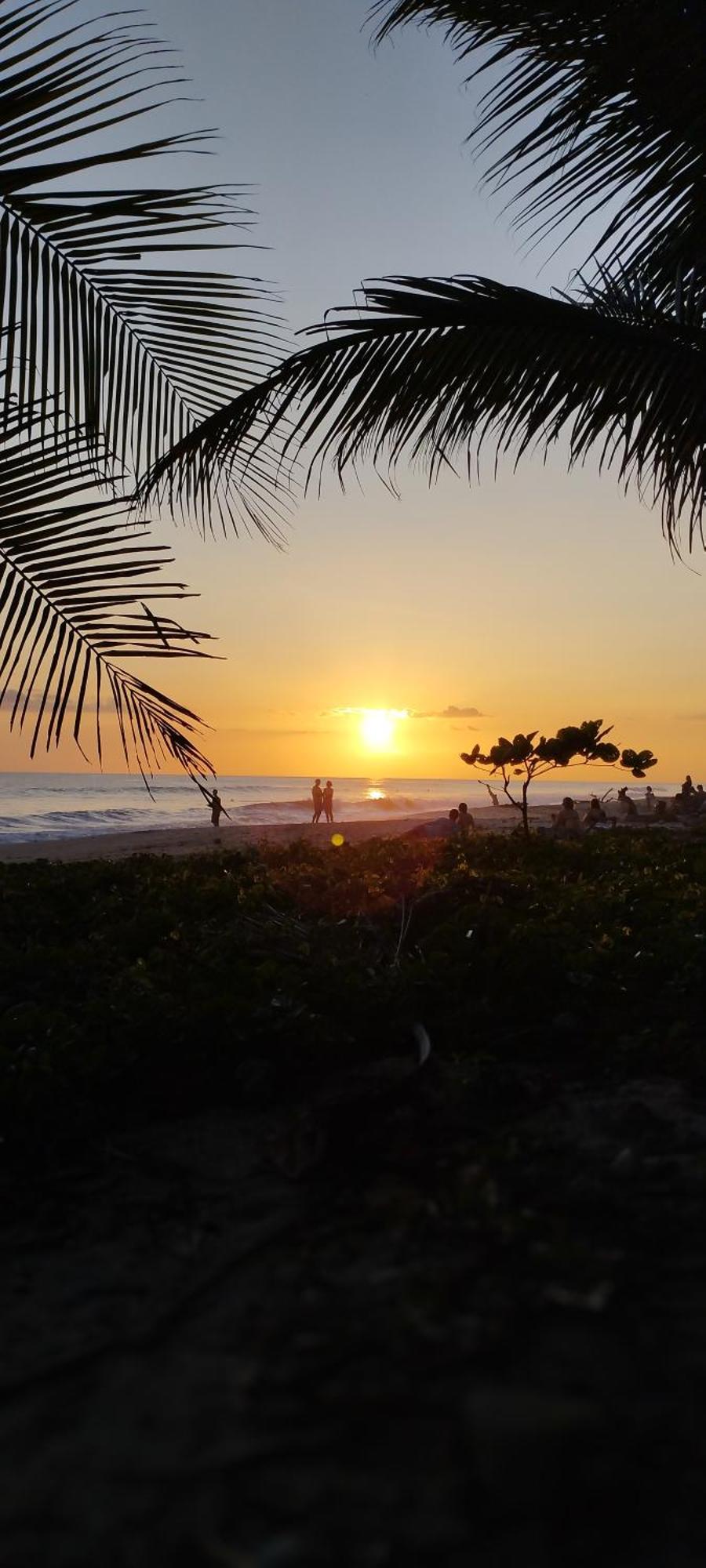 Armadillo Eco Bungalows - Santa Teresa Playa Santa Teresa  エクステリア 写真