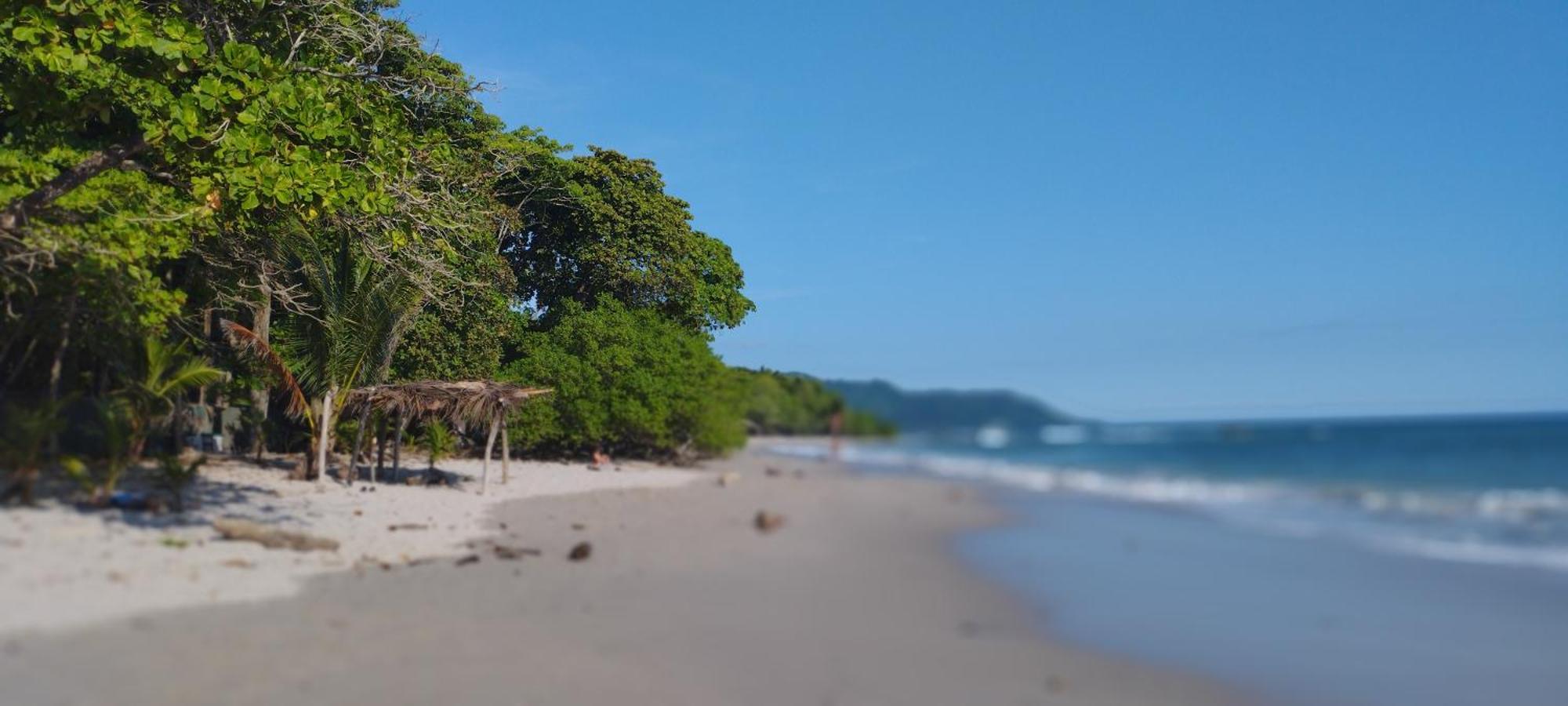 Armadillo Eco Bungalows - Santa Teresa Playa Santa Teresa  エクステリア 写真