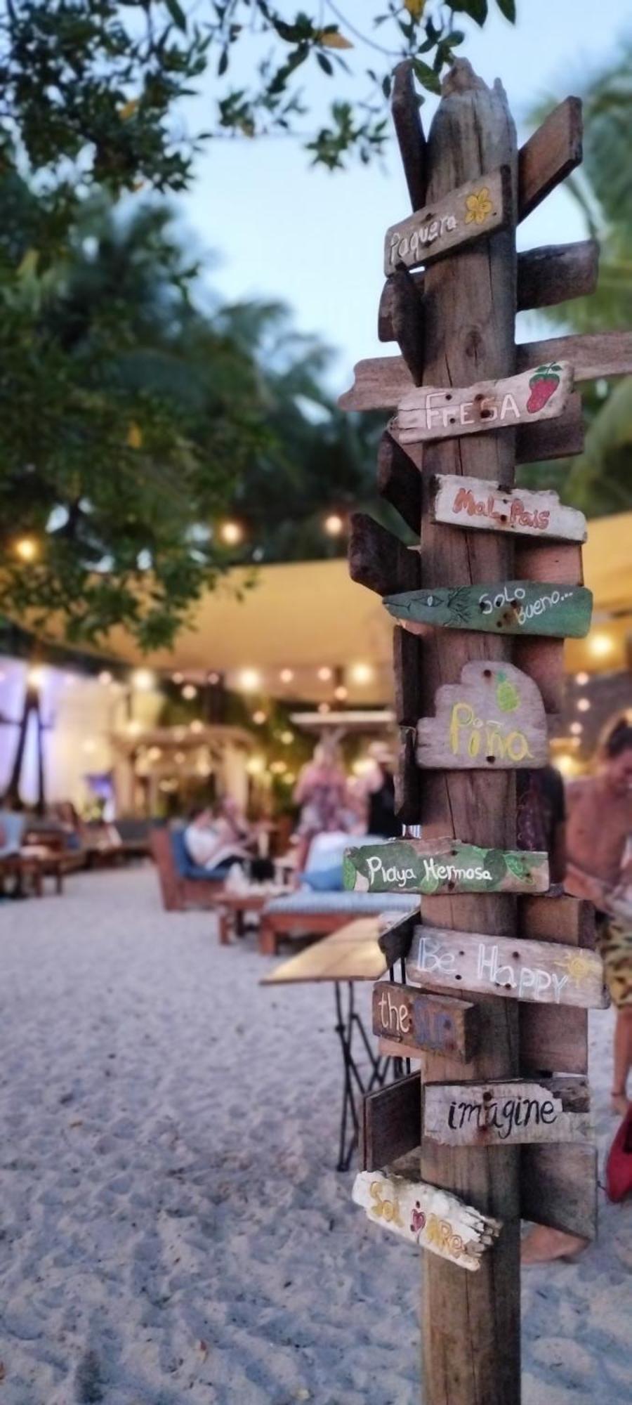 Armadillo Eco Bungalows - Santa Teresa Playa Santa Teresa  エクステリア 写真