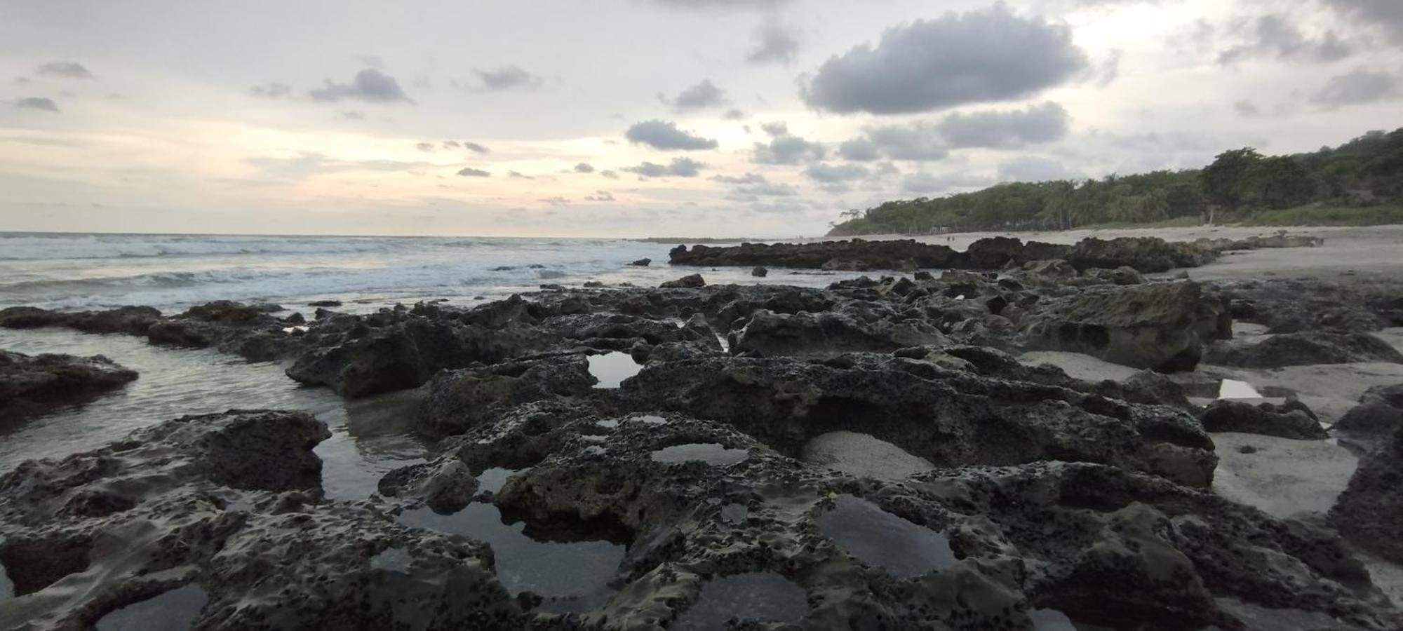 Armadillo Eco Bungalows - Santa Teresa Playa Santa Teresa  エクステリア 写真