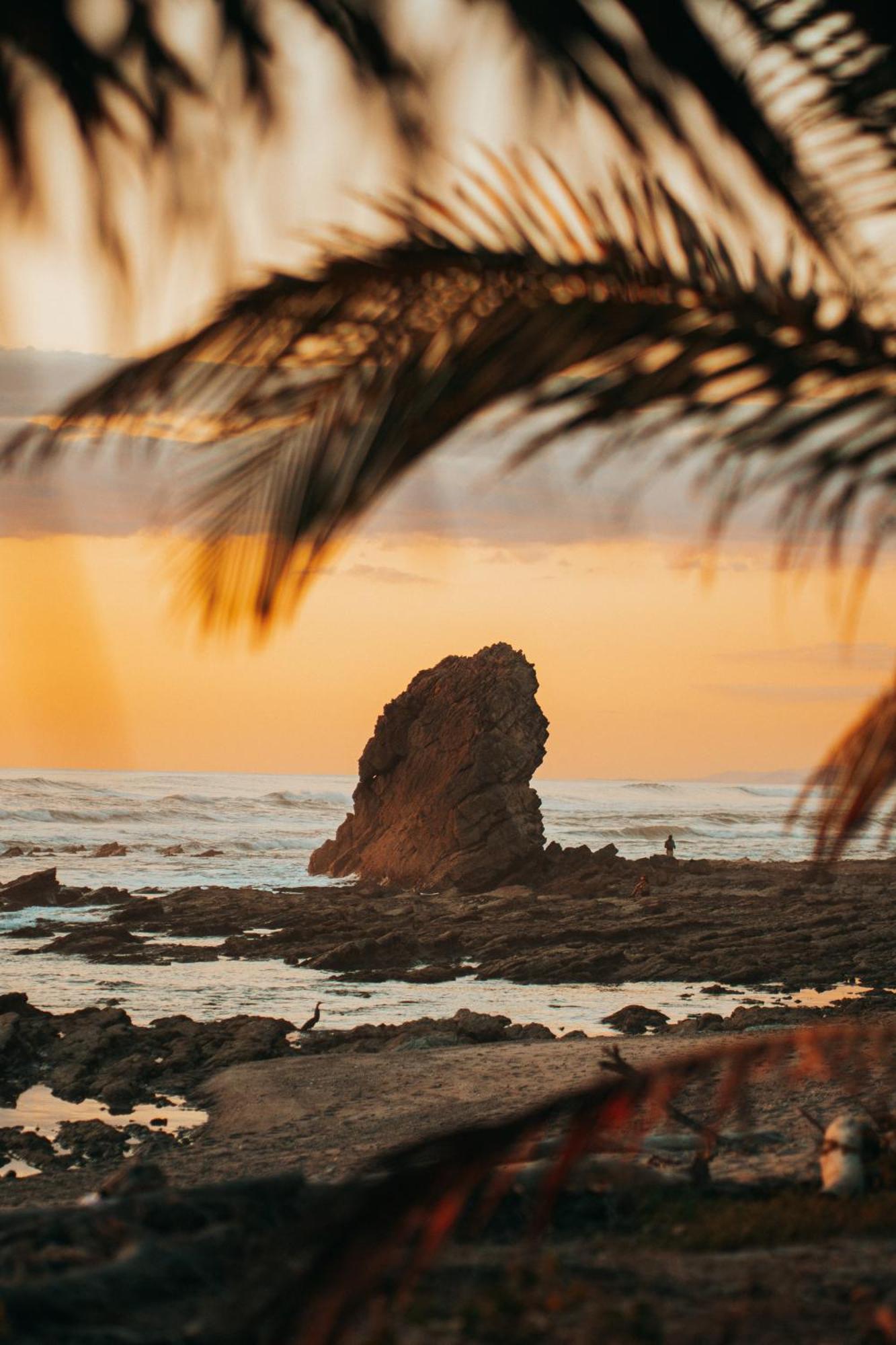 Armadillo Eco Bungalows - Santa Teresa Playa Santa Teresa  エクステリア 写真