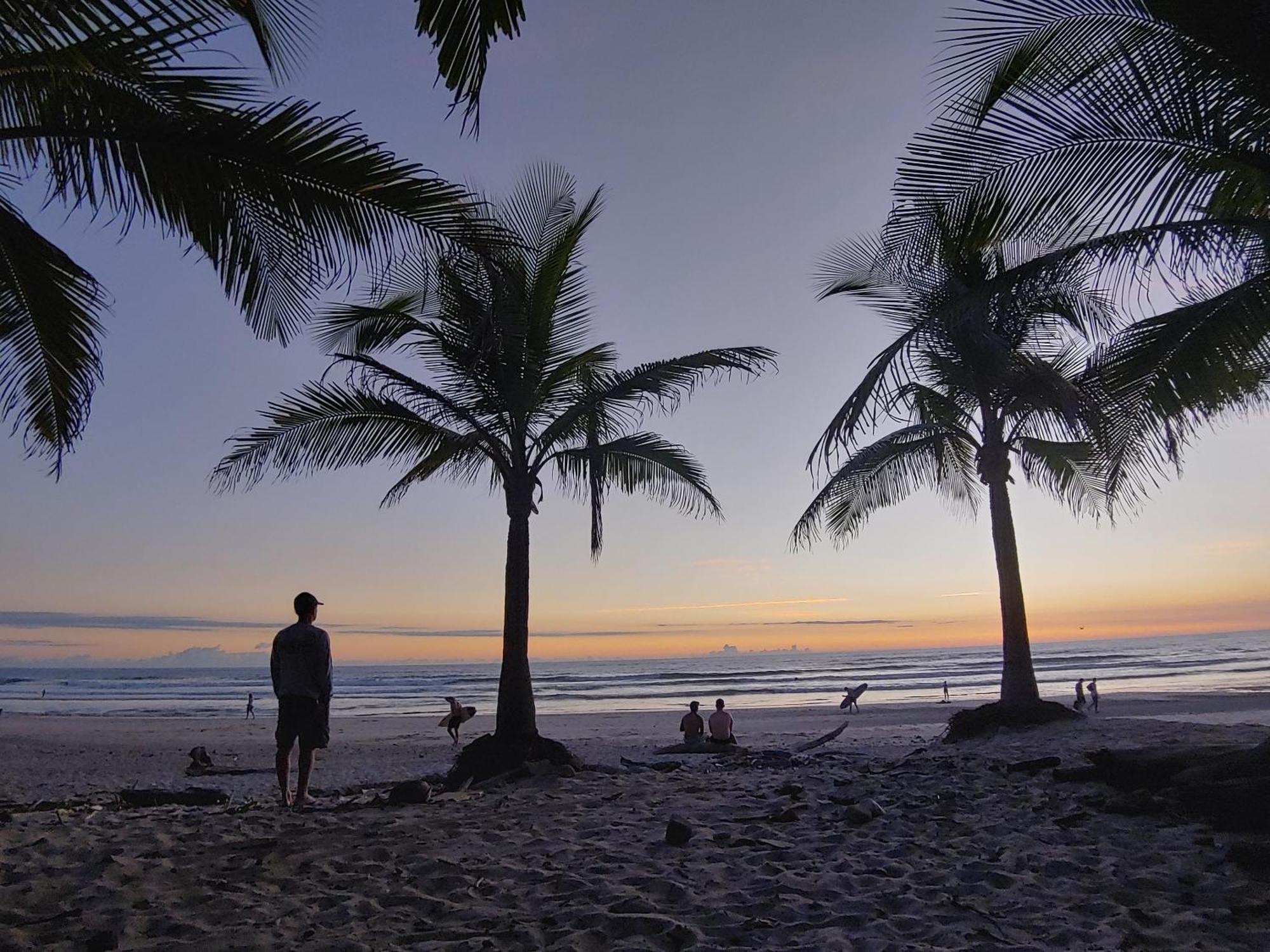 Armadillo Eco Bungalows - Santa Teresa Playa Santa Teresa  エクステリア 写真